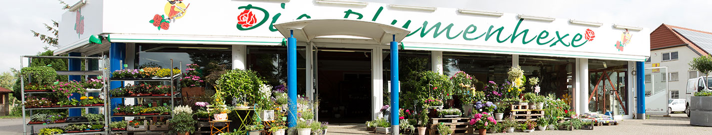 Die Blumenhexe | Ihr Blumenfachgeschäft in Hagenow