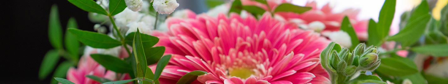 Floristik | Die Blumenhexe | Ihr Blumenfachgeschäft in Hagenow