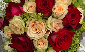 Hochzeit | Die Blumenhexe | Ihr Blumenfachgeschäft in Hagenow